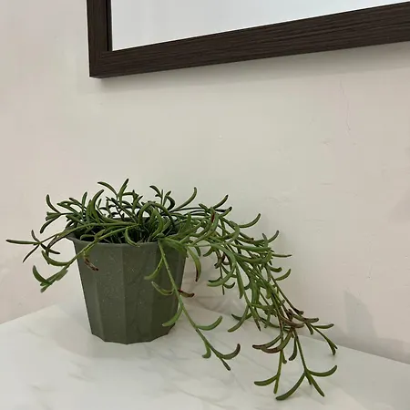 Bed and Breakfast Il Buon Risveglio Agropoli