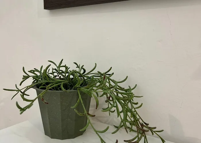 B&B Il Buon Risveglio 아그로폴리